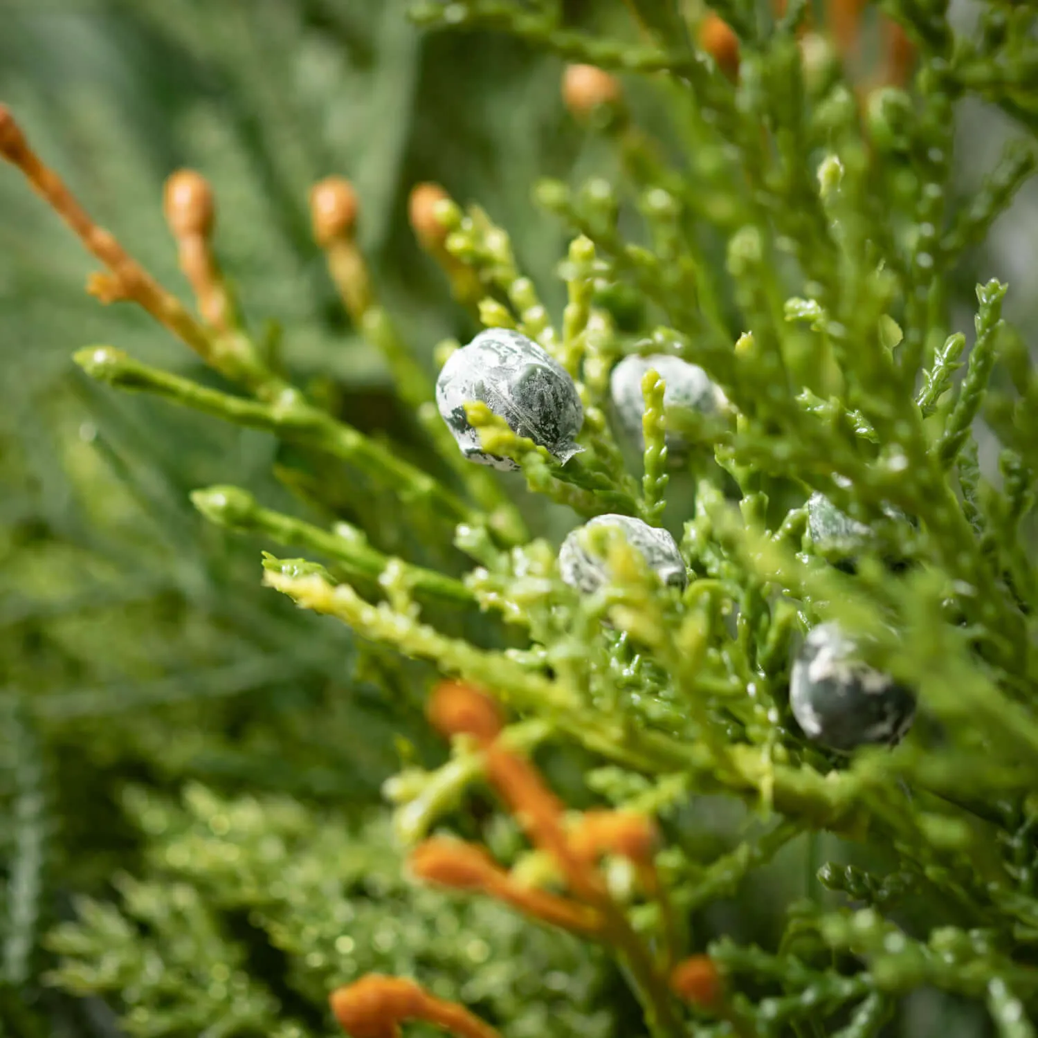 Artificial Mixed Pine & Juniper Stem Green 20"H