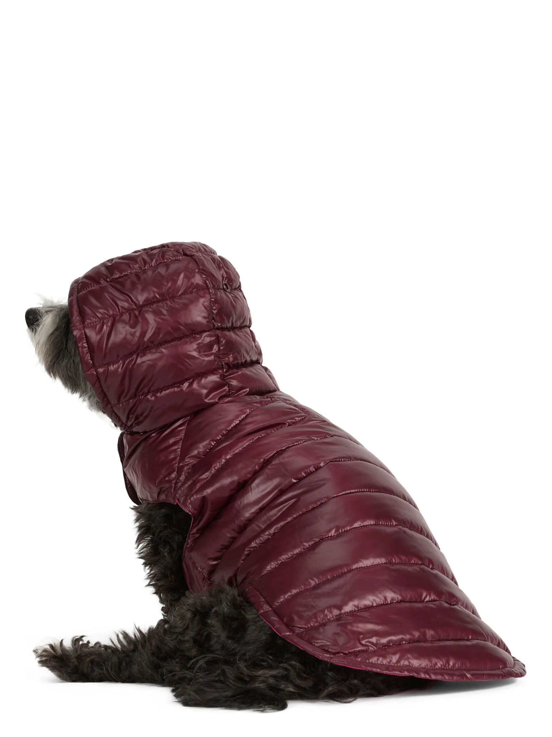 Seymour Lightweight Puffer for Dogs