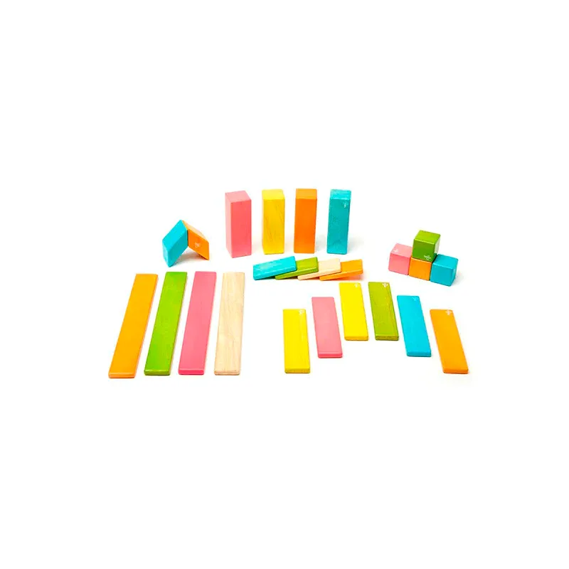 Tegu Magnetic Wooden Blocks 24pc Tints